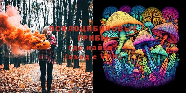 МДПВ Алексин