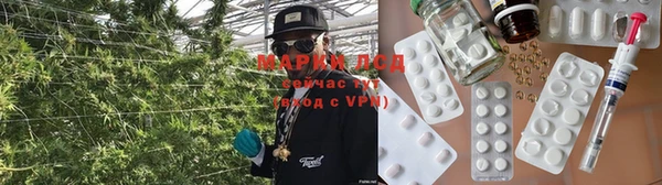 МДПВ Алексин
