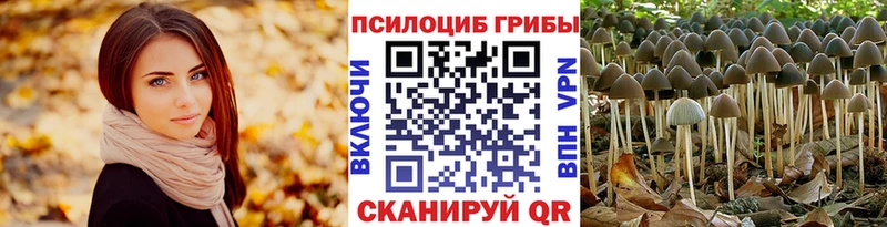 как найти закладки  Лихославль  Галлюциногенные грибы мухоморы 